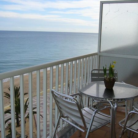 Apartaments El Sorrall Blanes Pokoj fotografie